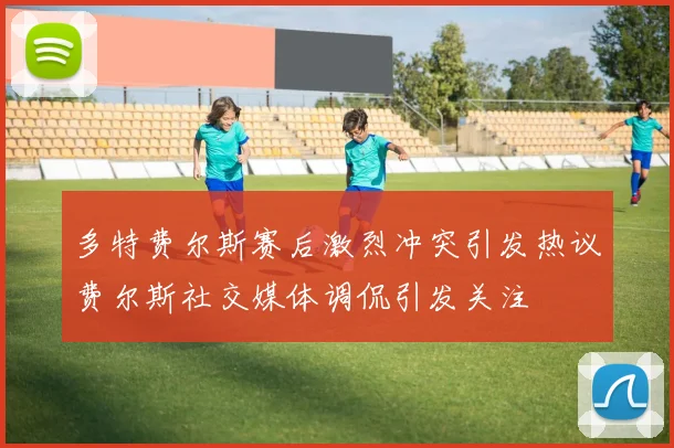 多特费尔斯赛后激烈冲突引发热议费尔斯社交媒体调侃引发关注