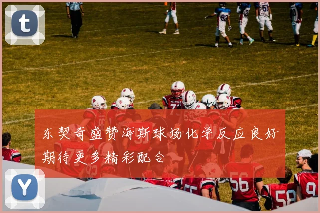 东契奇盛赞海斯球场化学反应良好期待更多精彩配合