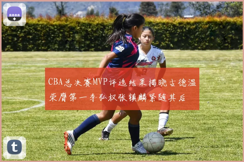 CBA总决赛MVP评选结果揭晓古德温荣膺第一李弘权张镇麟紧随其后